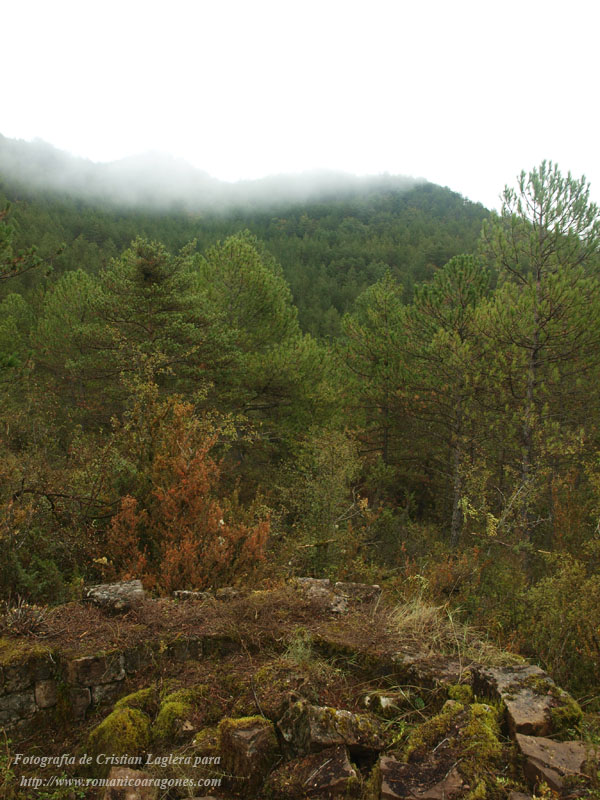 VISTA SURESTE